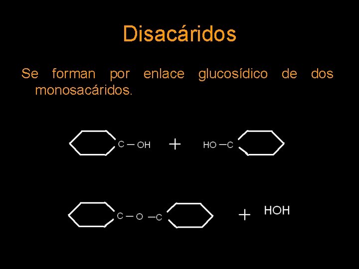 Disacáridos Se forman por enlace glucosídico de dos monosacáridos. 