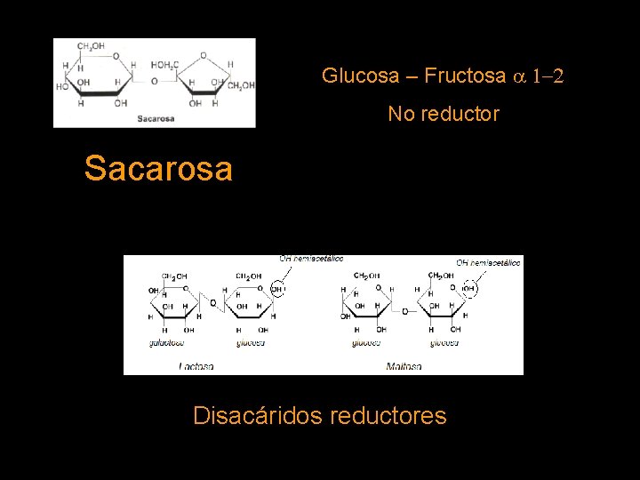 Glucosa – Fructosa a 1 -2 No reductor Sacarosa Disacáridos reductores 