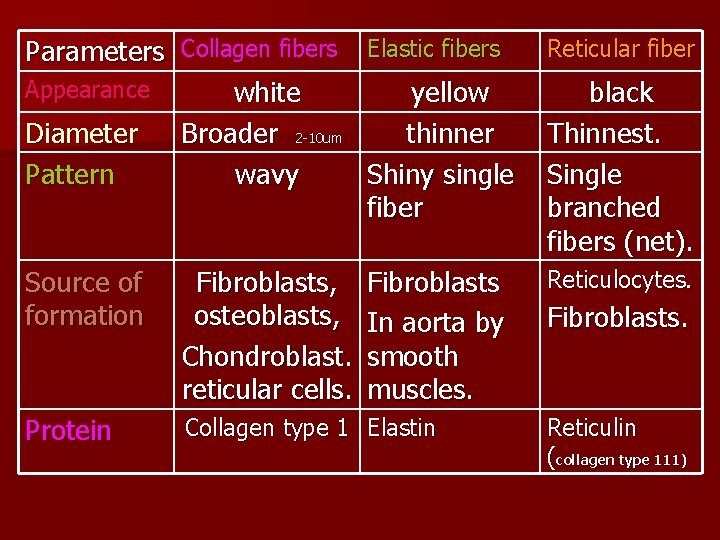 Parameters Collagen fibers Elastic fibers Appearance white yellow Diameter Broader 2 -10 um thinner Parameters Collagen fibers Elastic fibers Appearance white yellow Diameter Broader 2 -10 um thinner