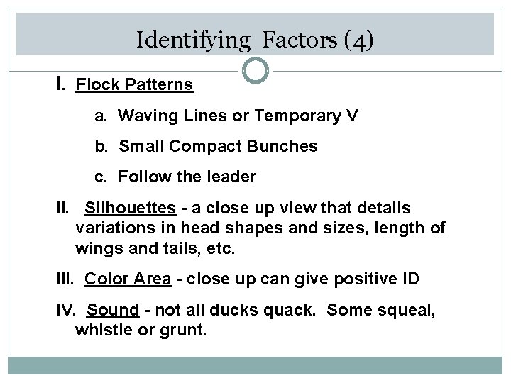 Identifying Factors (4) I. Flock Patterns a. Waving Lines or Temporary V b. Small