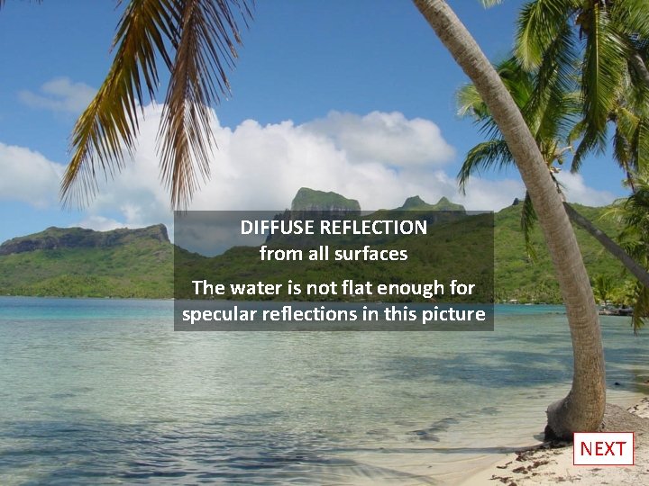 DIFFUSE REFLECTION from all surfaces The water is not flat enough for specular reflections