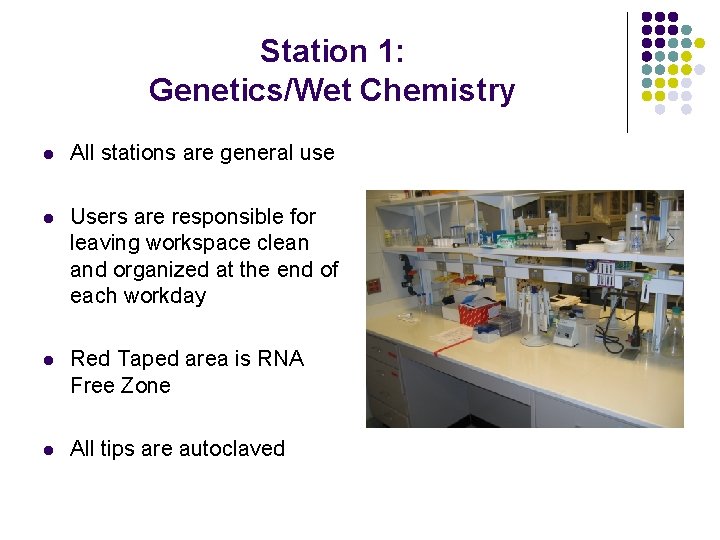 Station 1: Genetics/Wet Chemistry l All stations are general use l Users are responsible