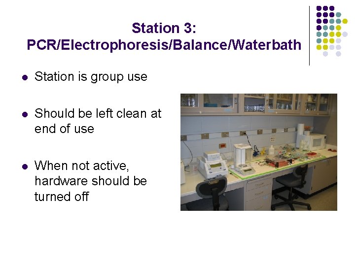 Station 3: PCR/Electrophoresis/Balance/Waterbath l Station is group use l Should be left clean at