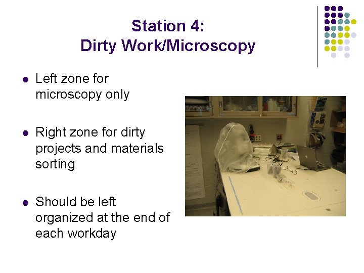 Station 4: Dirty Work/Microscopy l Left zone for microscopy only l Right zone for