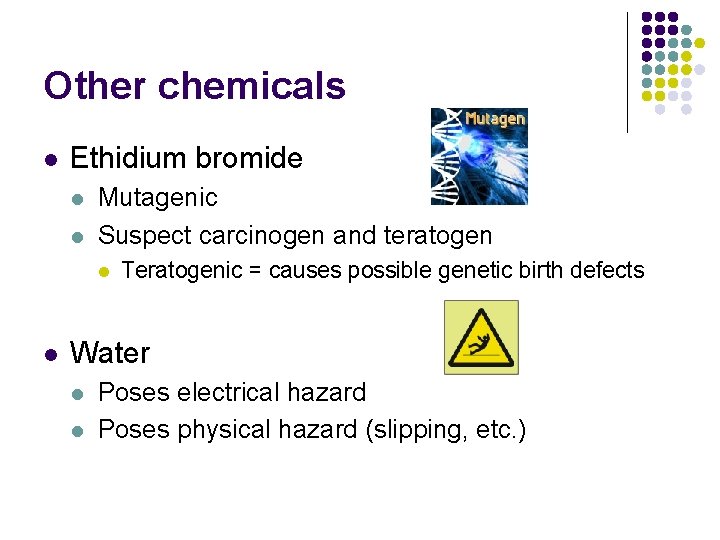 Other chemicals l Ethidium bromide l l Mutagenic Suspect carcinogen and teratogen l l