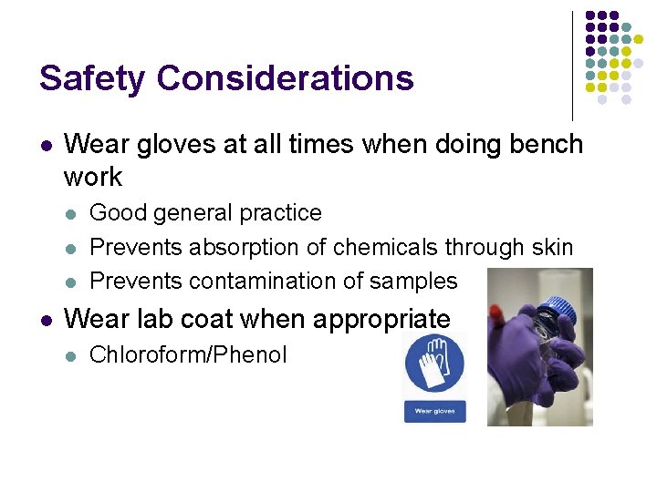 Safety Considerations l Wear gloves at all times when doing bench work l l