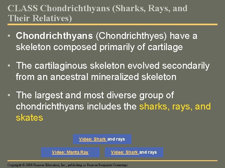 CLASS Chondrichthyans (Sharks, Rays, and Their Relatives) • Chondrichthyans (Chondrichthyes) have a skeleton composed