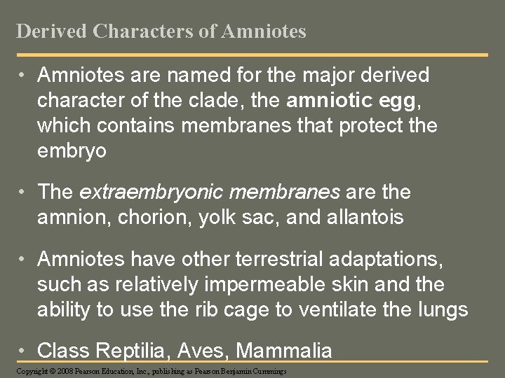 Derived Characters of Amniotes • Amniotes are named for the major derived character of