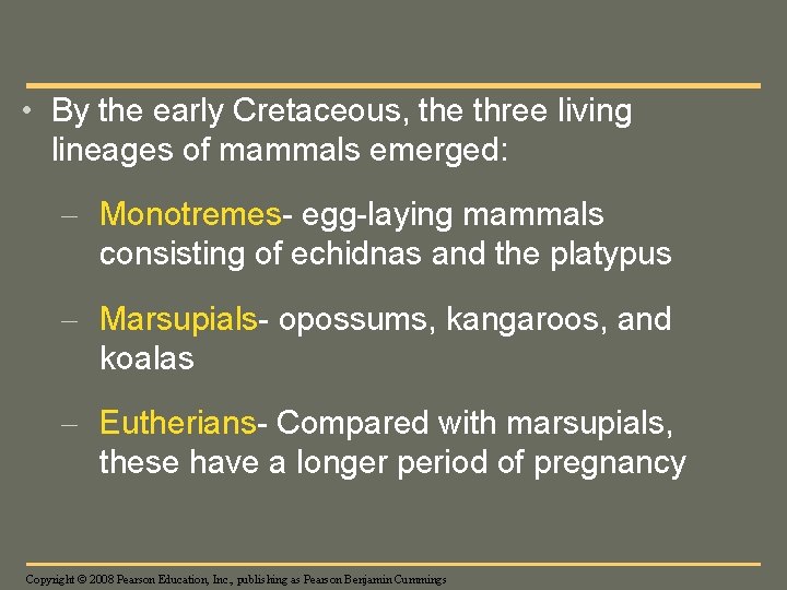  • By the early Cretaceous, the three living lineages of mammals emerged: –
