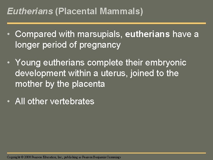 Eutherians (Placental Mammals) • Compared with marsupials, eutherians have a longer period of pregnancy