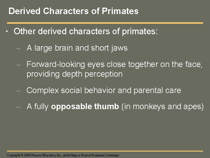 Derived Characters of Primates • Other derived characters of primates: – A large brain