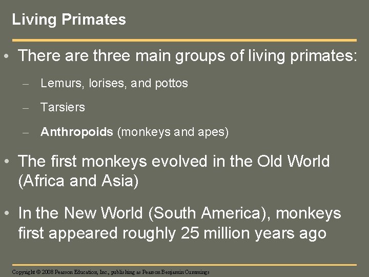 Living Primates • There are three main groups of living primates: – Lemurs, lorises,