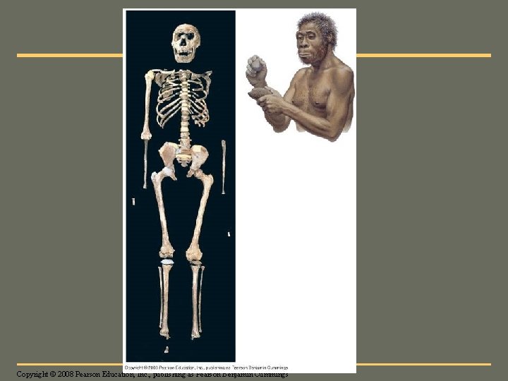 Fig. 34 -42 Copyright © 2008 Pearson Education, Inc. , publishing as Pearson Benjamin