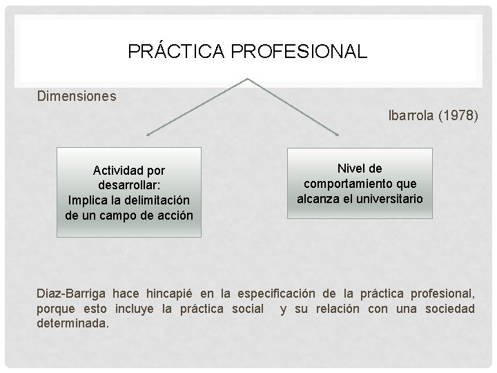 PRÁCTICA PROFESIONAL Dimensiones Ibarrola (1978) Actividad por desarrollar: Implica la delimitación de un campo