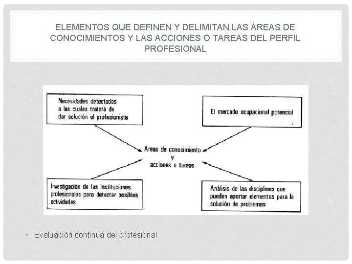 ELEMENTOS QUE DEFINEN Y DELIMITAN LAS ÁREAS DE CONOCIMIENTOS Y LAS ACCIONES O TAREAS