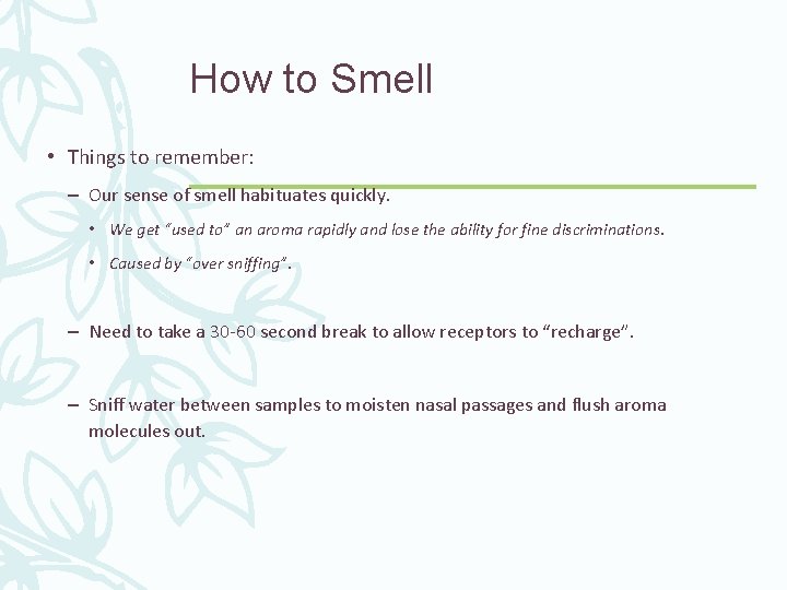 How to Smell • Things to remember: – Our sense of smell habituates quickly.