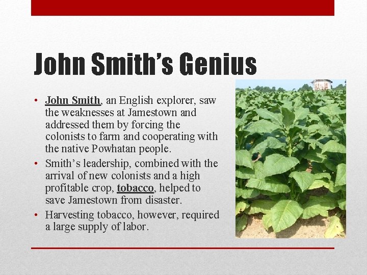 John Smith’s Genius • John Smith, an English explorer, saw the weaknesses at Jamestown