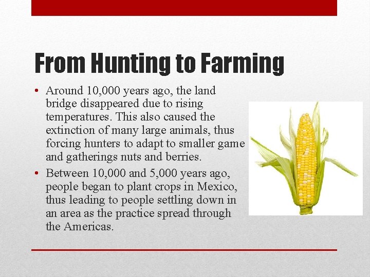 From Hunting to Farming • Around 10, 000 years ago, the land bridge disappeared