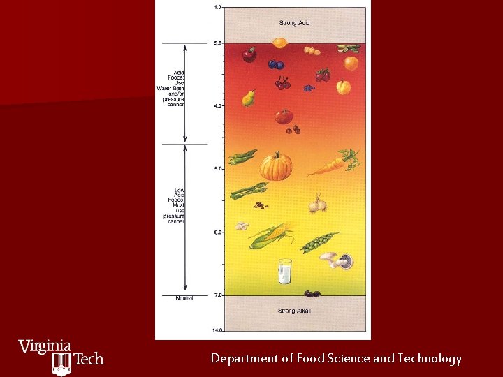 Department of Food Science and Technology 