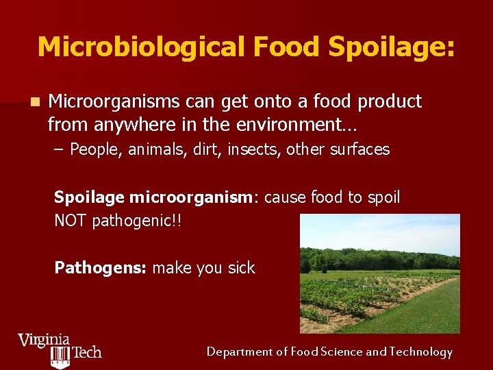 Microbiological Food Spoilage: n Microorganisms can get onto a food product from anywhere in