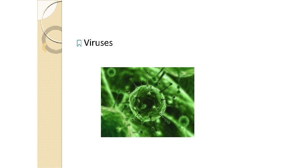 Viruses 13 
