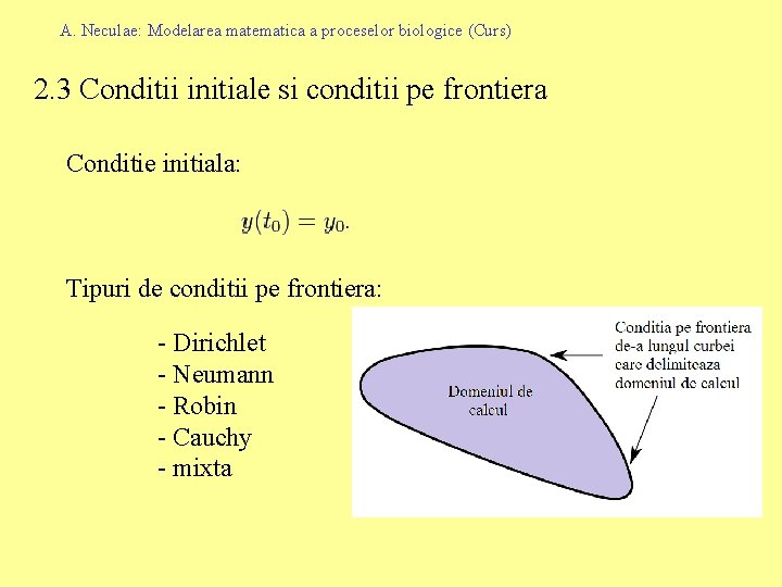 A. Neculae: Modelarea matematica a proceselor biologice (Curs) 2. 3 Conditii initiale si conditii