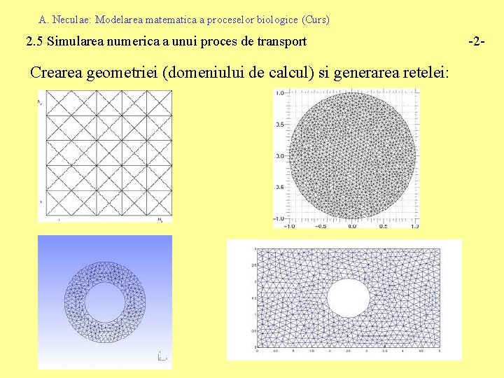 A. Neculae: Modelarea matematica a proceselor biologice (Curs) 2. 5 Simularea numerica a unui