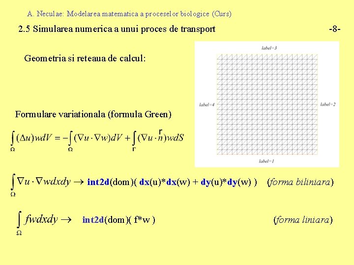 A. Neculae: Modelarea matematica a proceselor biologice (Curs) 2. 5 Simularea numerica a unui