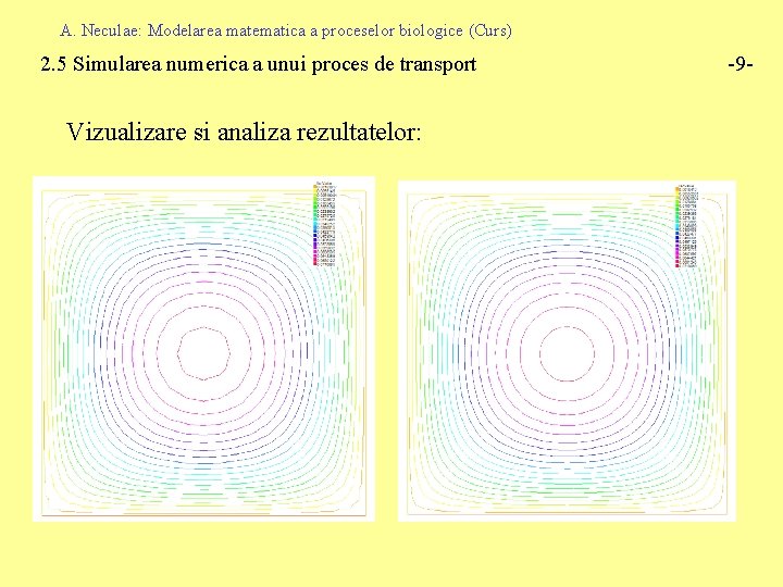 A. Neculae: Modelarea matematica a proceselor biologice (Curs) 2. 5 Simularea numerica a unui