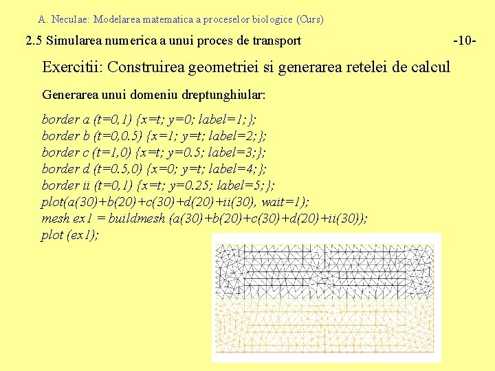 A. Neculae: Modelarea matematica a proceselor biologice (Curs) 2. 5 Simularea numerica a unui