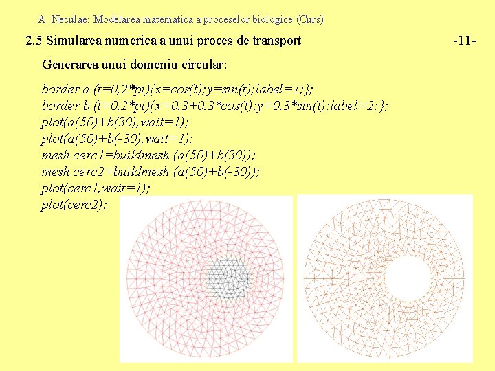 A. Neculae: Modelarea matematica a proceselor biologice (Curs) 2. 5 Simularea numerica a unui