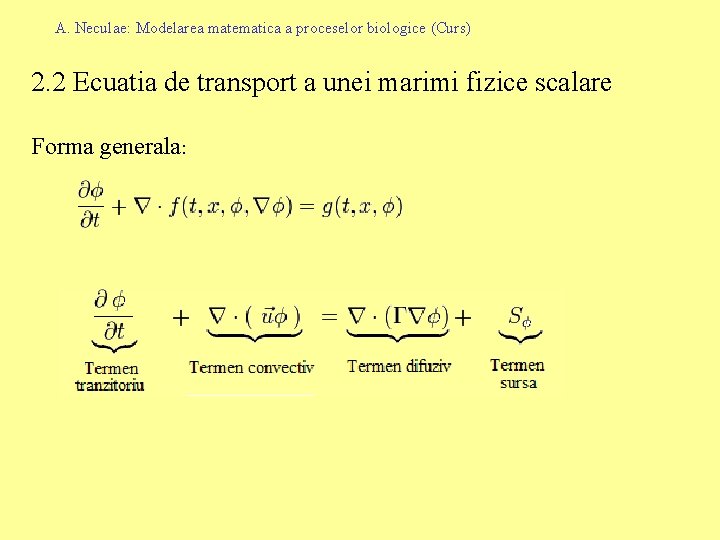 A. Neculae: Modelarea matematica a proceselor biologice (Curs) 2. 2 Ecuatia de transport a