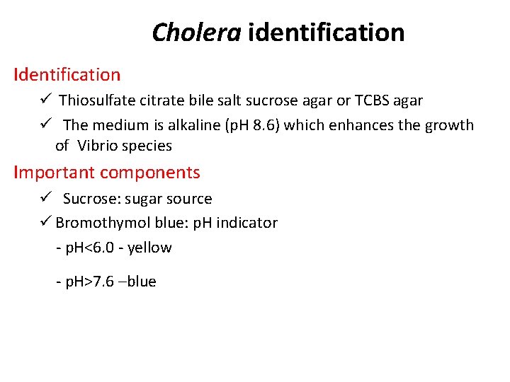 Cholera identification Identification ü Thiosulfate citrate bile salt sucrose agar or TCBS agar ü