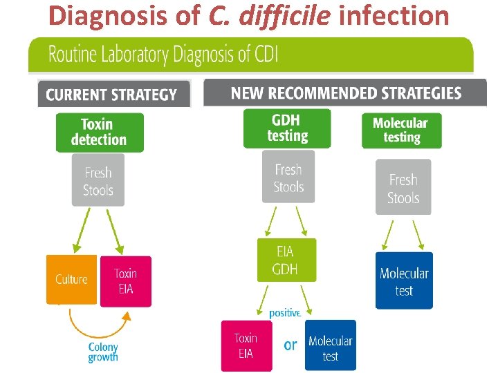 Diagnosis of C. difficile infection 