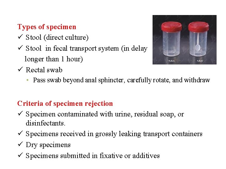 Types of specimen ü Stool (direct culture) ü Stool in fecal transport system (in