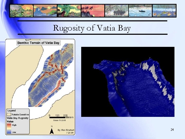 Rugosity of Vatia Bay 24 