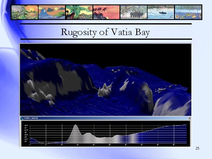 Rugosity of Vatia Bay 25 