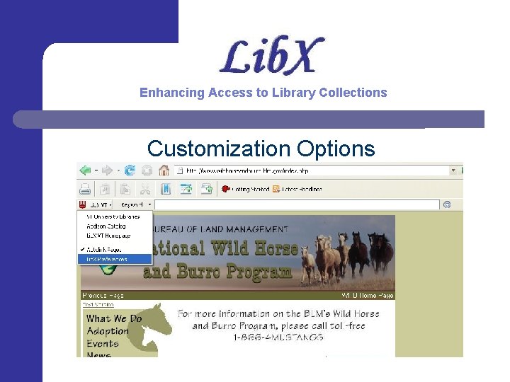 Enhancing Access to Library Collections Customization Options 