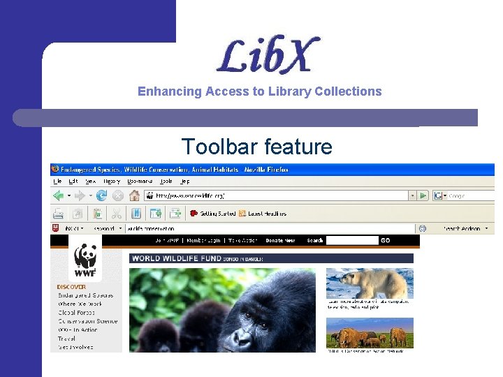 Enhancing Access to Library Collections Toolbar feature 