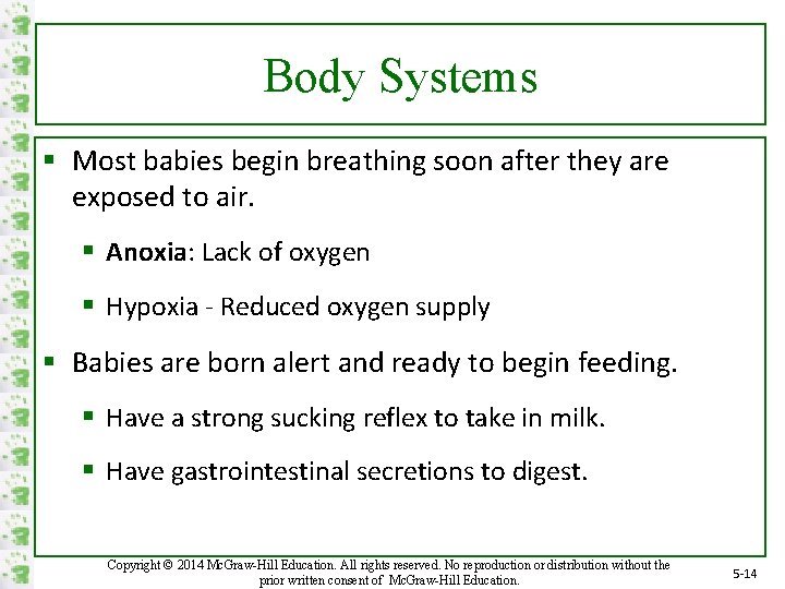 Body Systems § Most babies begin breathing soon after they are exposed to air.