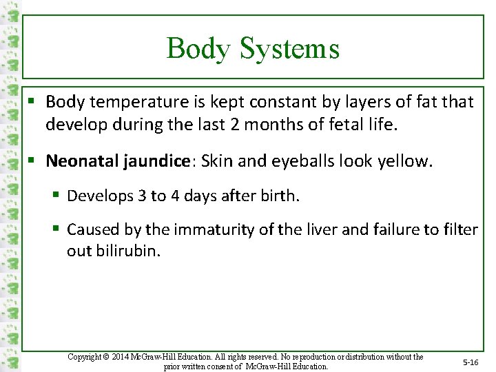 Body Systems § Body temperature is kept constant by layers of fat that develop