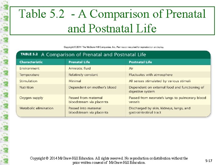 Table 5. 2 - A Comparison of Prenatal and Postnatal Life Copyright © 2014