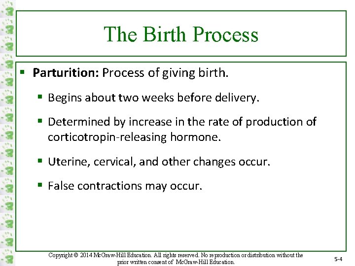 The Birth Process § Parturition: Process of giving birth. § Begins about two weeks