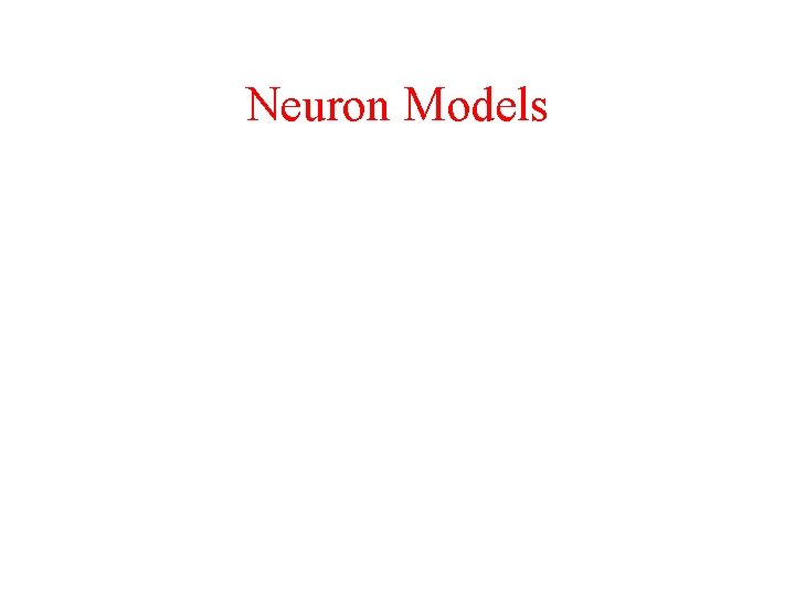 Neuron Models 