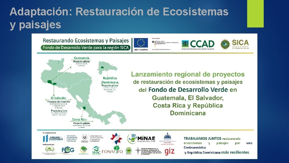 Adaptación: Restauración de Ecosistemas y paisajes 
