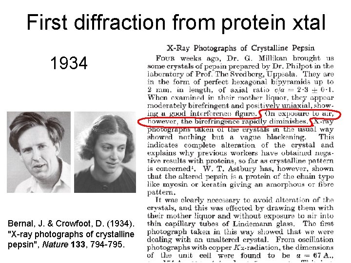 First diffraction from protein xtal 1934 Bernal, J. & Crowfoot, D. (1934). "X-ray photographs