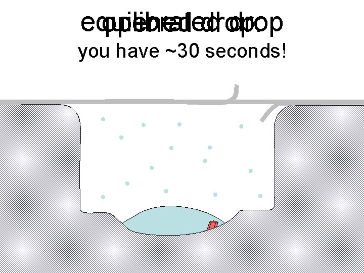 equilibrated drop opened drop: you have ~30 seconds! 