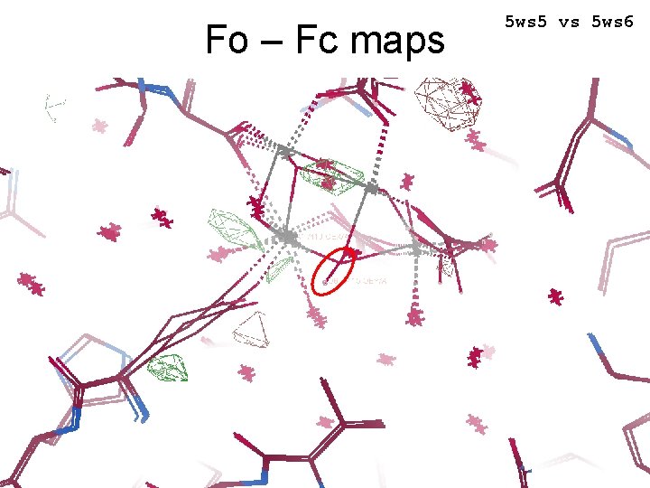 Fo – Fc maps 5 ws 5 vs 5 ws 6 