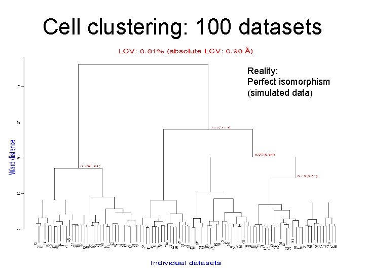Cell clustering: 100 datasets Reality: Perfect isomorphism (simulated data) 
