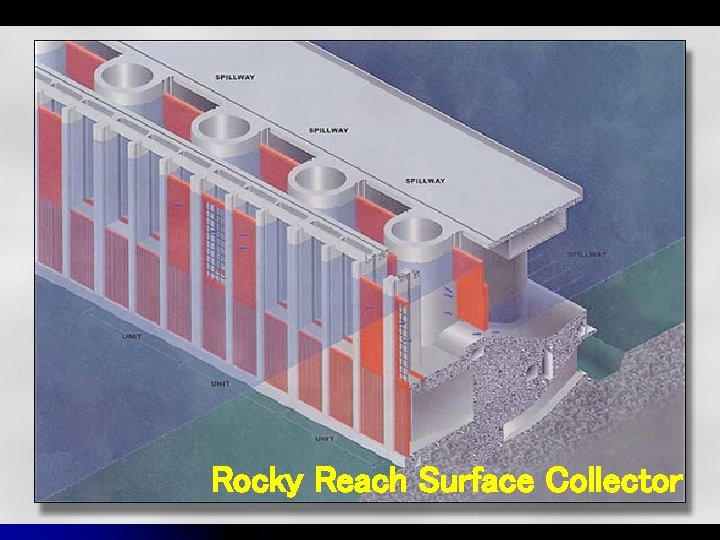 Rocky Reach Surface Collector 